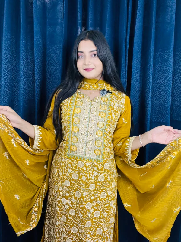 Eid Dhamaka Party Dress